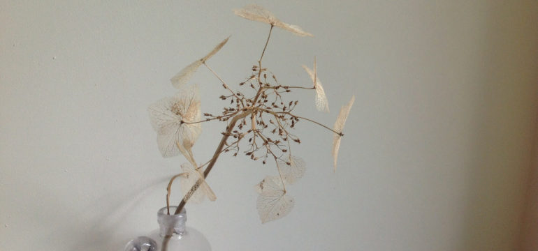 droogbloemen in huis